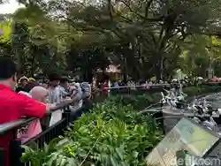 Warga Tangerang Ajak Anak Kunjungi Ragunan: Selama Ini Hanya Melihat Hewan dari YouTube